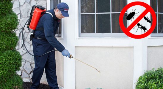 Taşlıçay Karınca İlaçlama böcek ilaçlama ve haşere kontrolü — ilaclama-tr.com